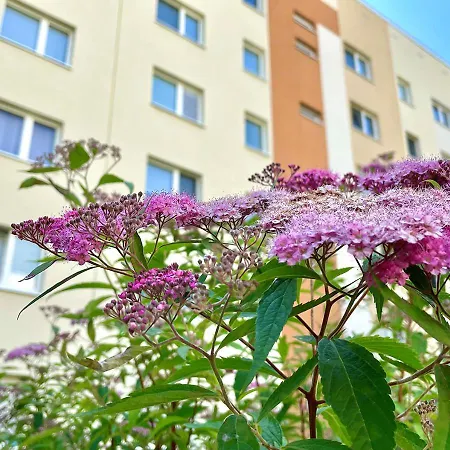 Nikolaikirchturm Der Wag