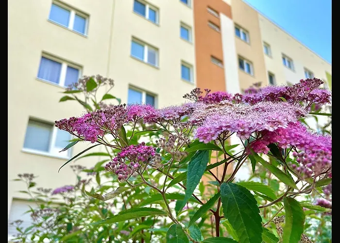 Nikolaikirchturm Der Wag